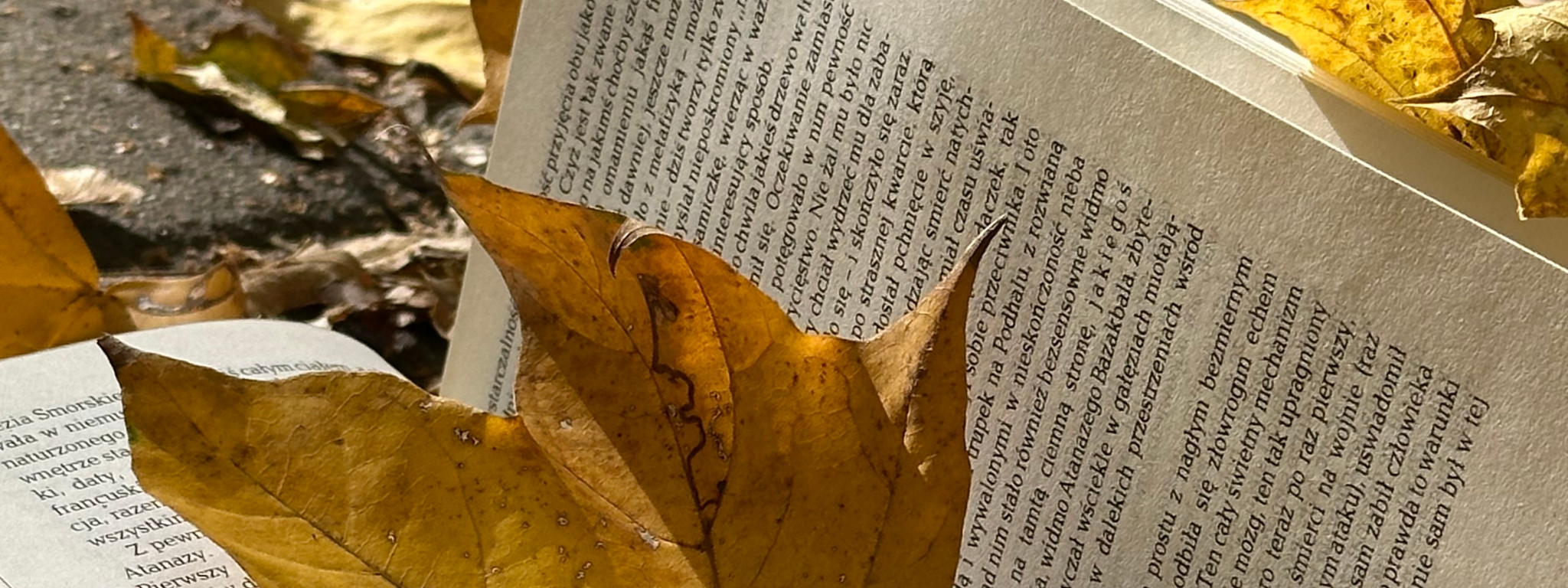 Lektury w sam raz na długie jesienne wieczory