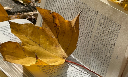 Lektury w sam raz na długie jesienne wieczory