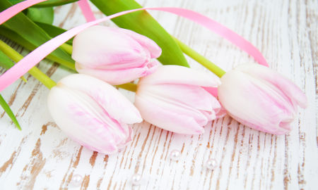 Jasno różowe tulipany leżące na drewnianym blacie