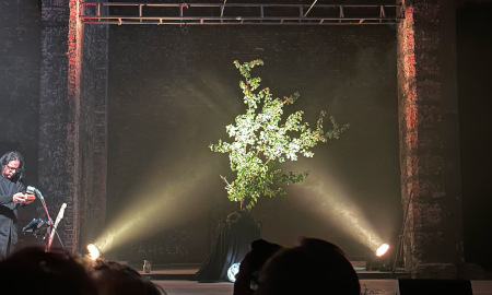 Oświetlone drzewo na scenie teatru